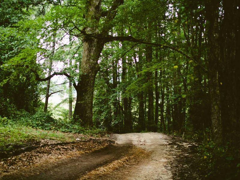 feedback screenshot 2